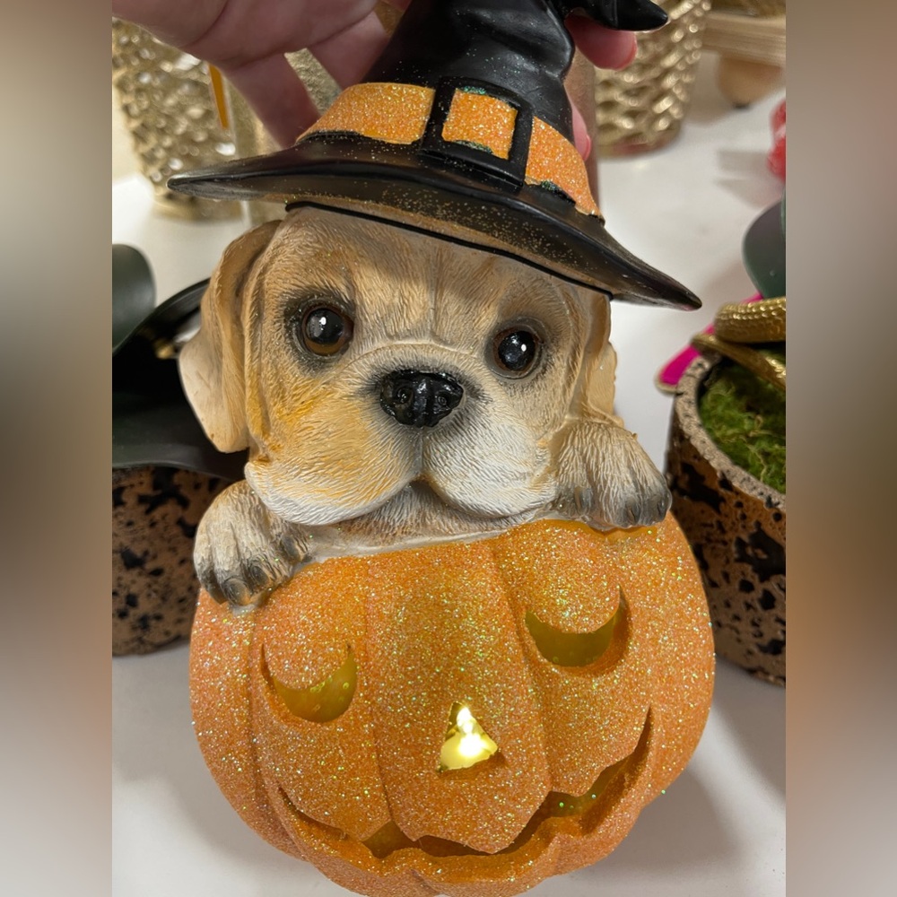 Halloween Puppy Witch Light up Orange Glitter Jack o’Lantern Humane Society NWT